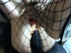 picture-1242